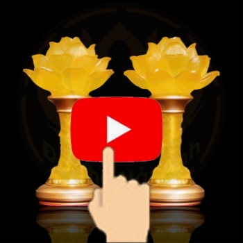 Đèn điện 1 bông lưu ly thân sáng