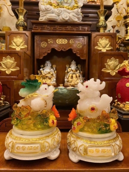 Cóc Thiềm Thừ & Tỳ Hưu Cải Thảo